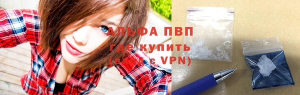 СК Абинск