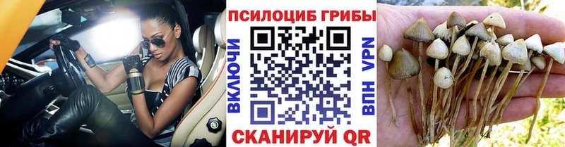 Галлюциногенные грибы мухоморы  Саянск 